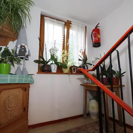 Haus Zimba Apartment *